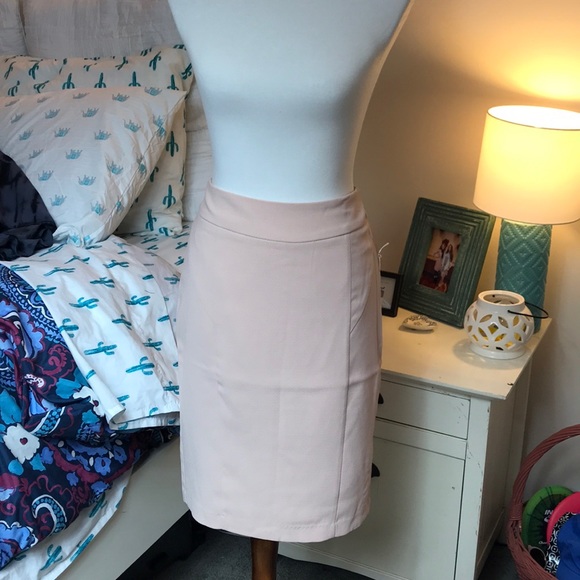 Blush pink waisted skirt - Picture 1 of 3